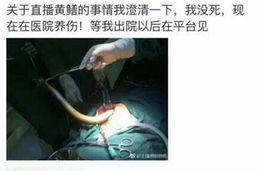 黄鳝女主播吧,揭秘网络直播界的另类现象