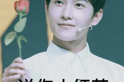 丑化杨洋表情包,丑化下的“颜值担当”