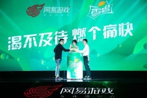 泛娱乐策划 网易,网易引领创新策划新篇章